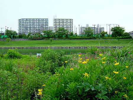 Copyright(c)2000$B!A(B Candybox All Rights Reserved